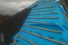roof2